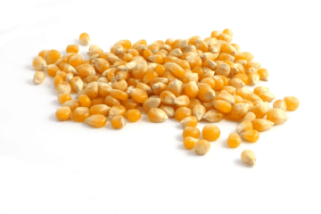 Maïs popcorn 5kg